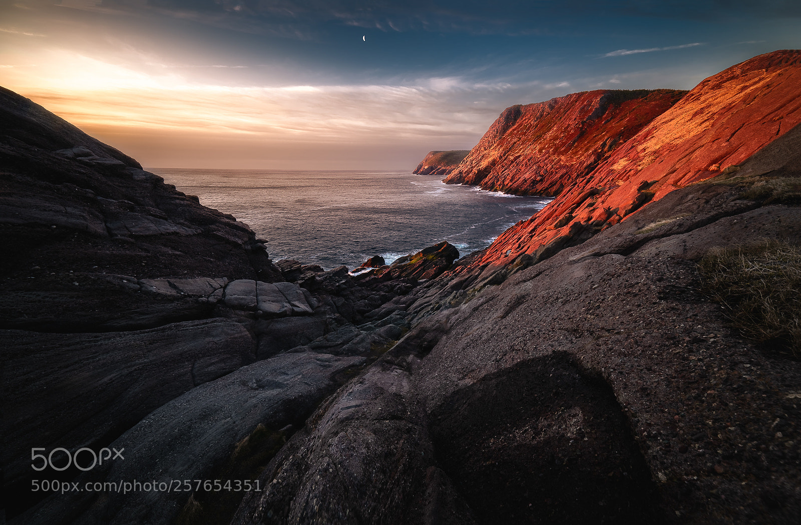 Nikon D810 sample photo. Rocky coastline torbay point photography