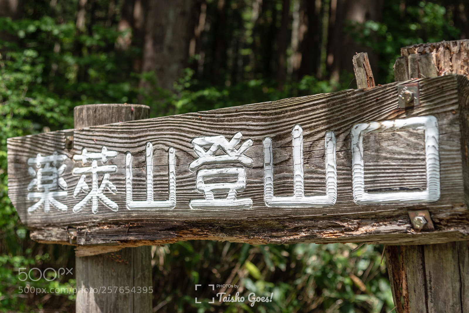 Nikon D750 sample photo. Mt. yakurai 001 photography