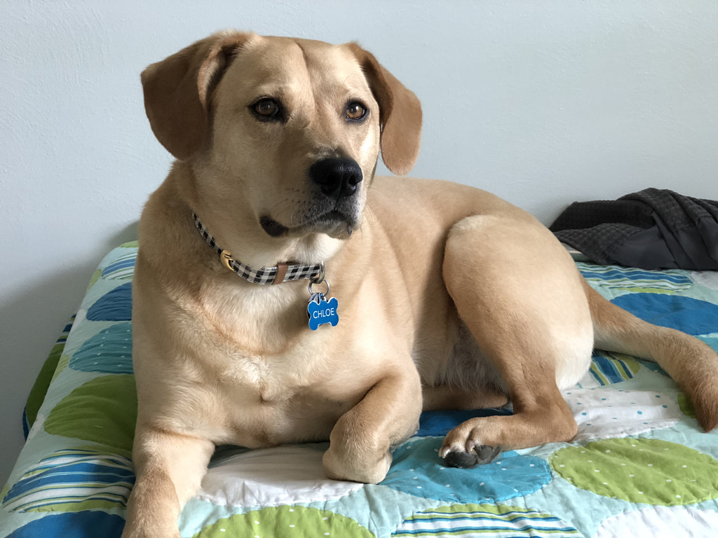 Untitled by Jacqueline and Kevin Reape on 500px.com