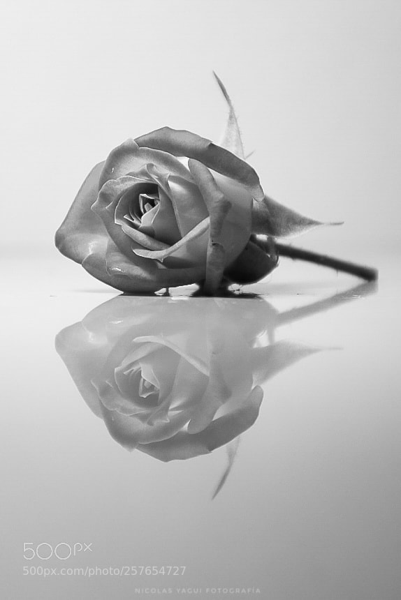 Nikon D7200 sample photo. B&n reflection photography