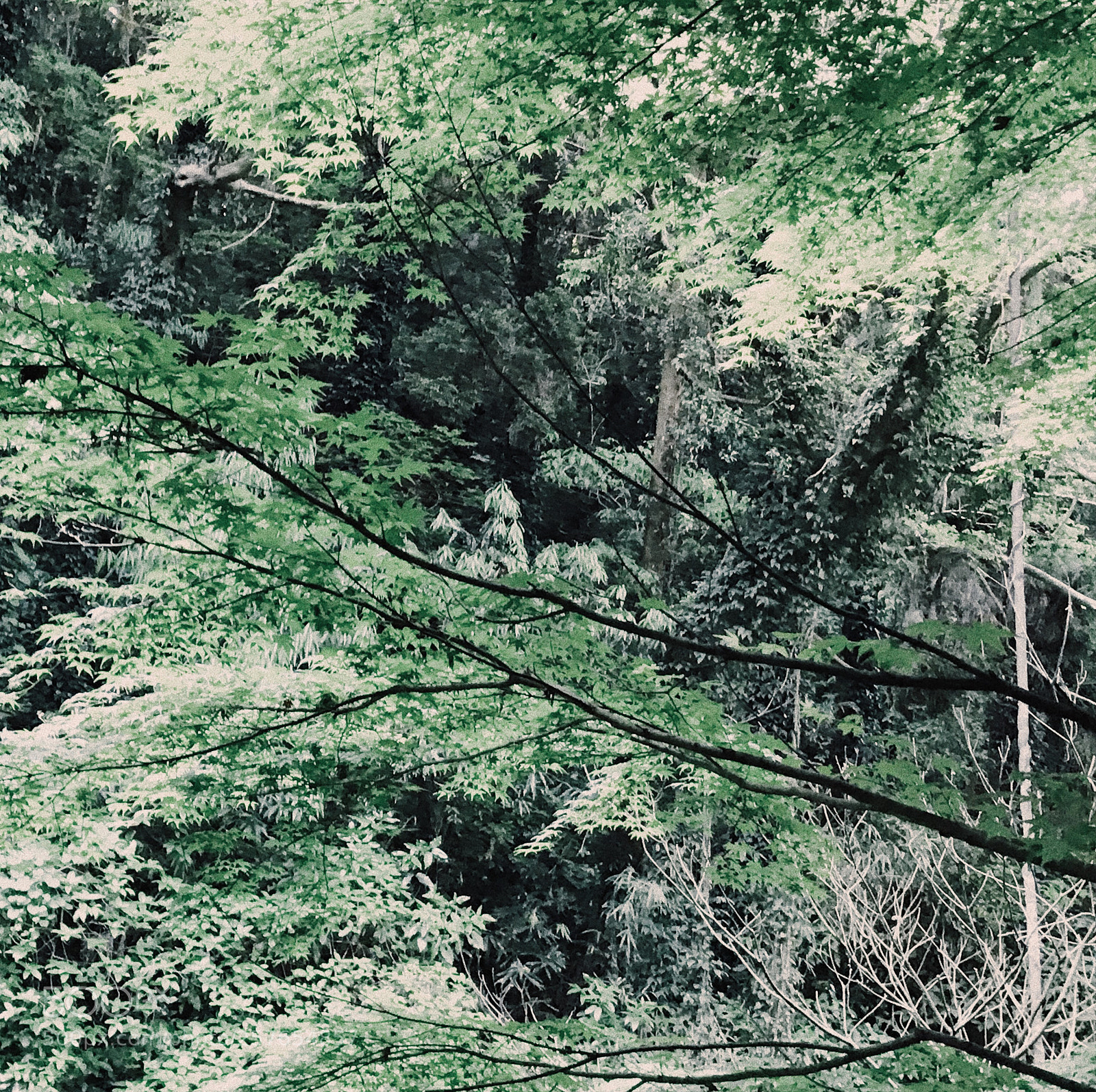 Apple iPhone 7 sample photo. Untitled photography