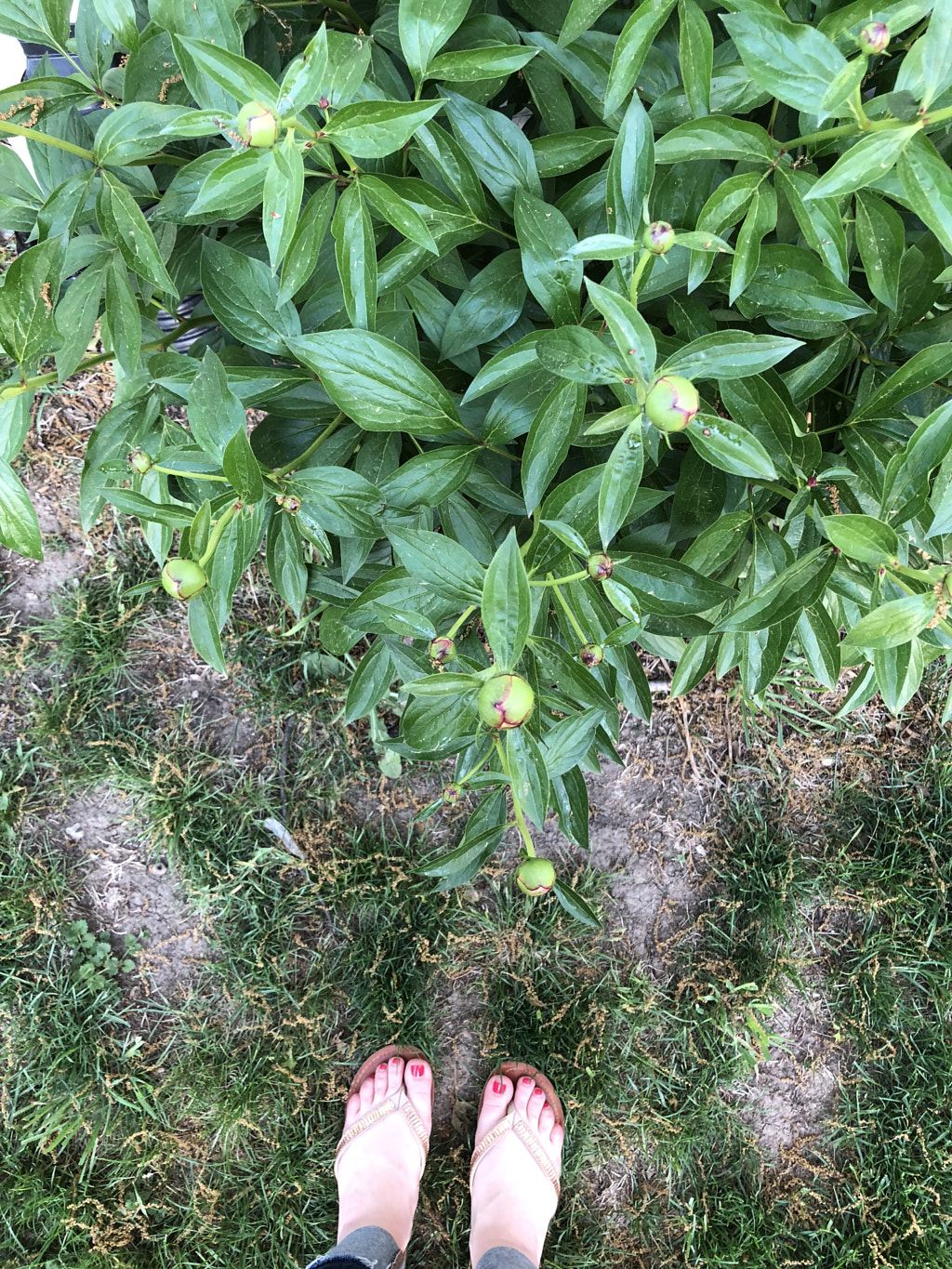 Untitled by Jacqueline and Kevin Reape on 500px.com