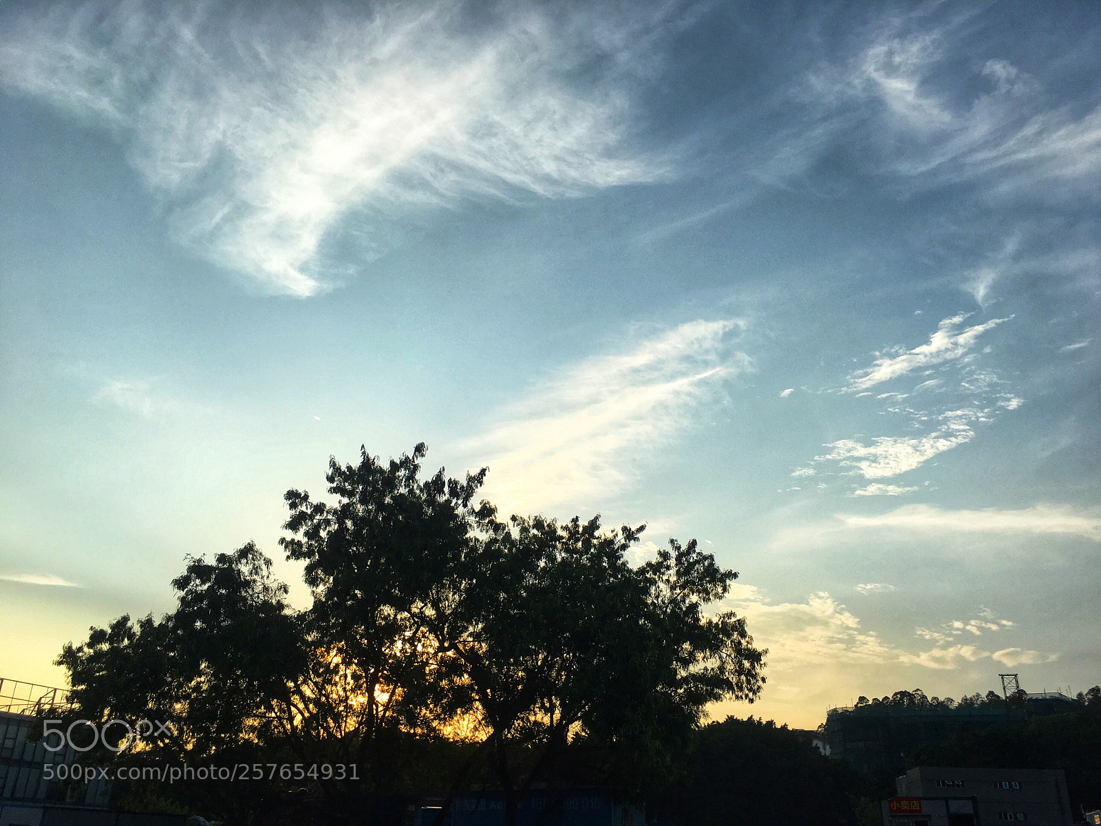 Apple iPhone 6s sample photo. Untitled photography