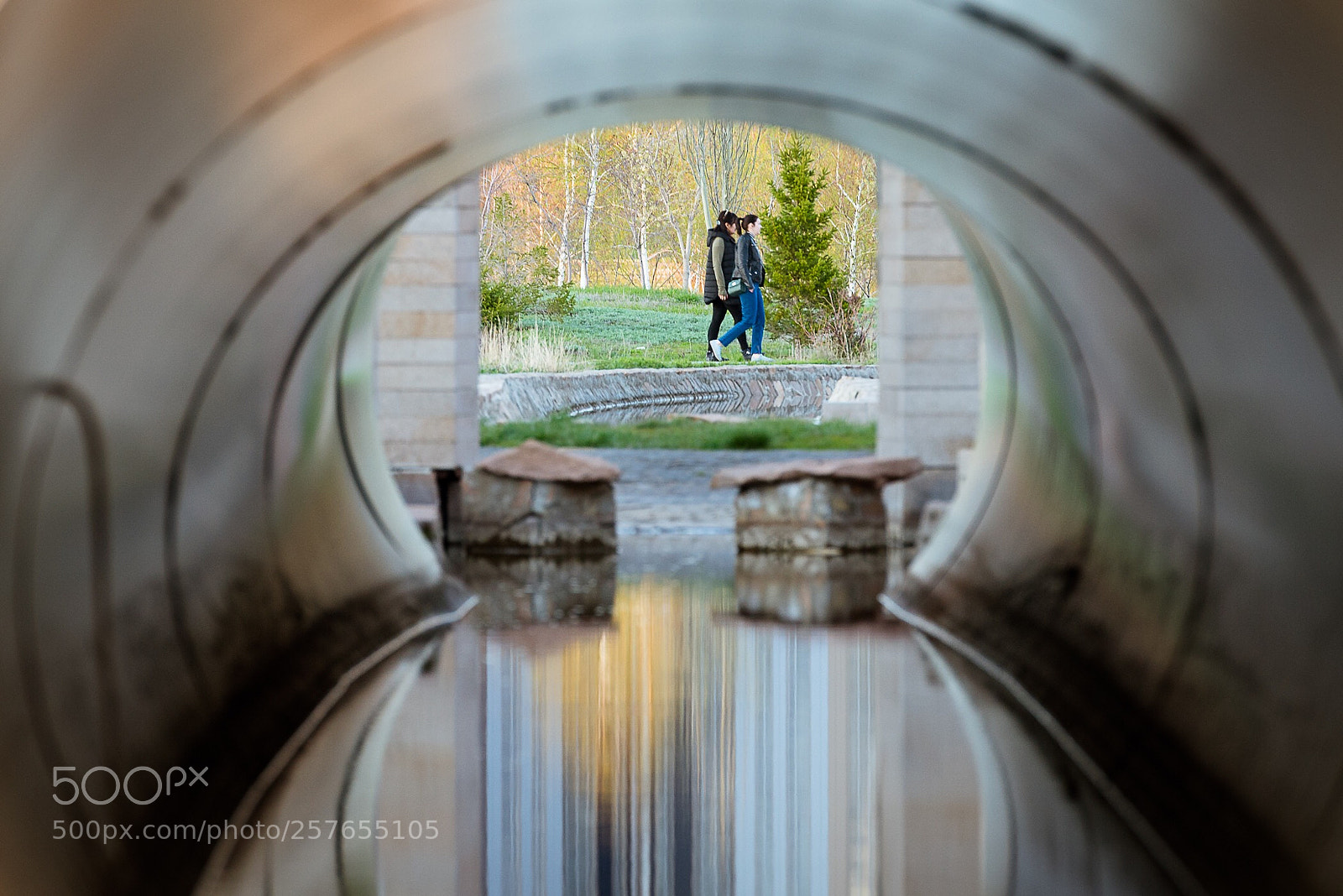 Nikon D610 sample photo. Untitled photography