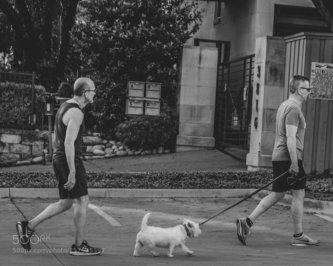 Fujifilm X-T20 sample photo. Untitled photography