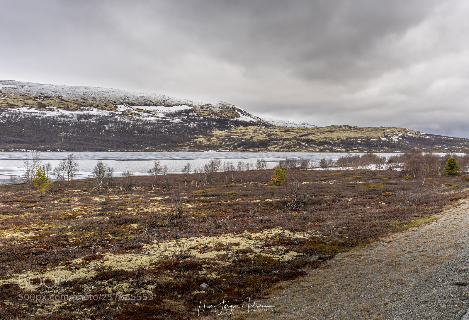 Sony a7R II sample photo. Dovrefjell photography