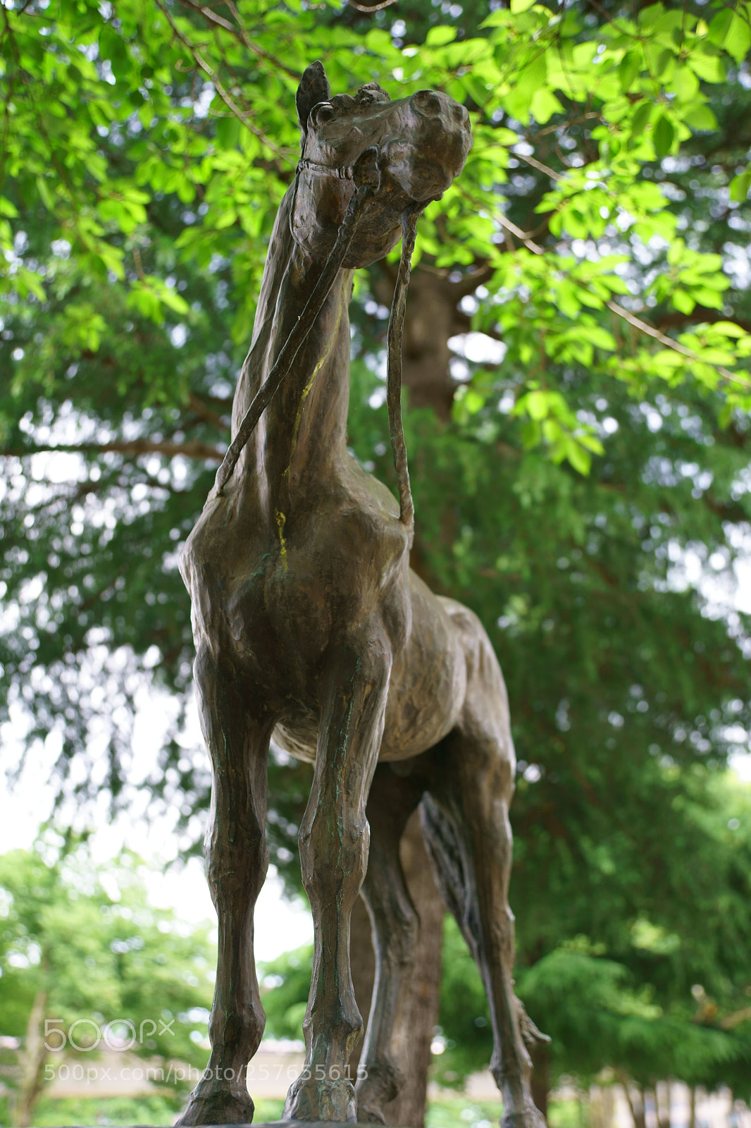 Sony a9 sample photo. Bronse statue photography