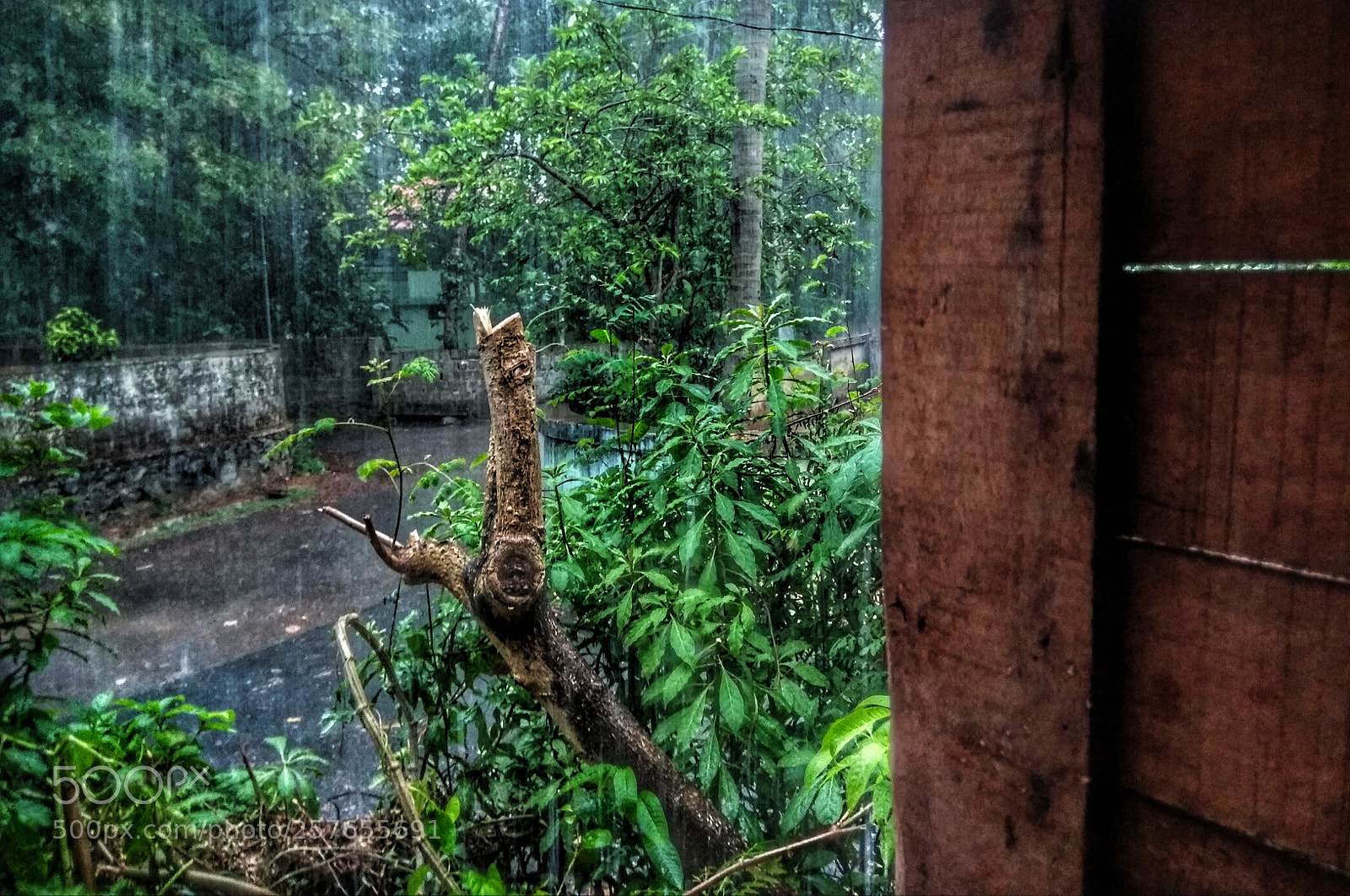 Xiaomi Redmi Note 4 sample photo. Rain photography