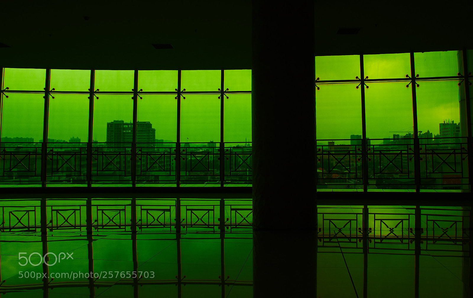 Nikon D5600 sample photo. Green photography