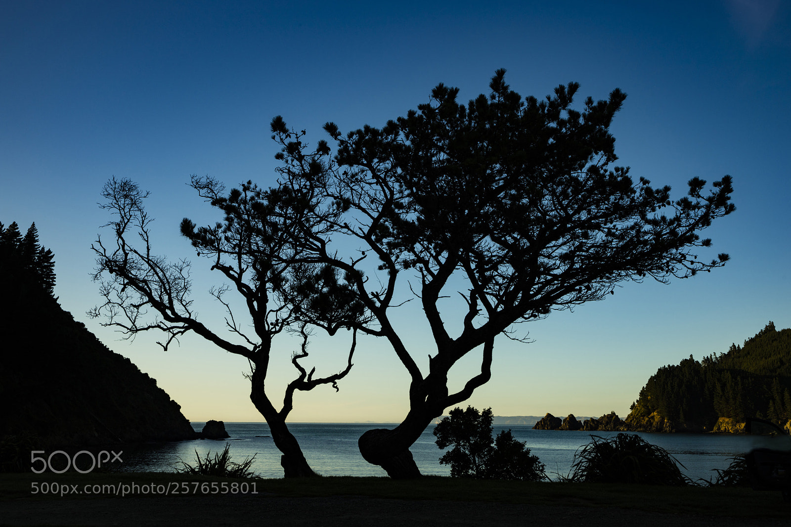 Canon EOS 6D Mark II sample photo. Silhouette at dawn photography