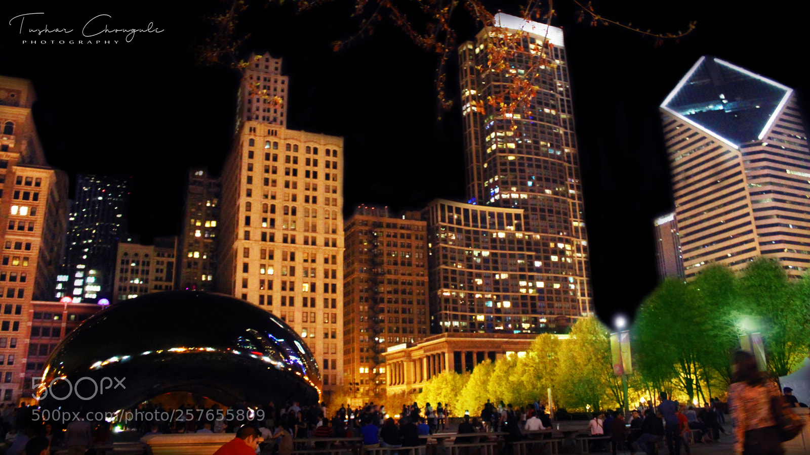 Canon EOS 1200D (EOS Rebel T5 / EOS Kiss X70 / EOS Hi) sample photo. The bean in chicago photography