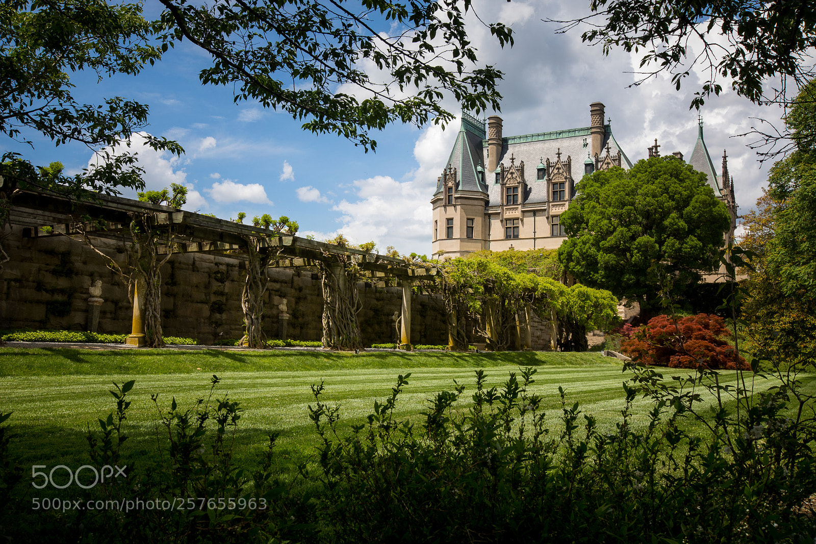 Canon EOS 5D Mark IV sample photo. The biltmore estates photography