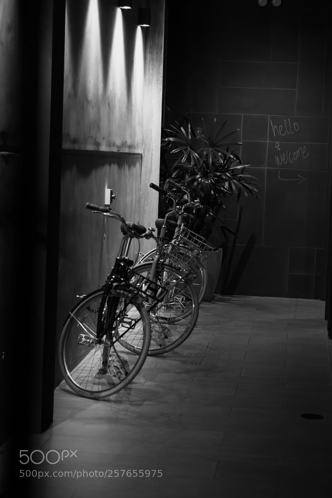 Nikon D750 sample photo. Darkness photography