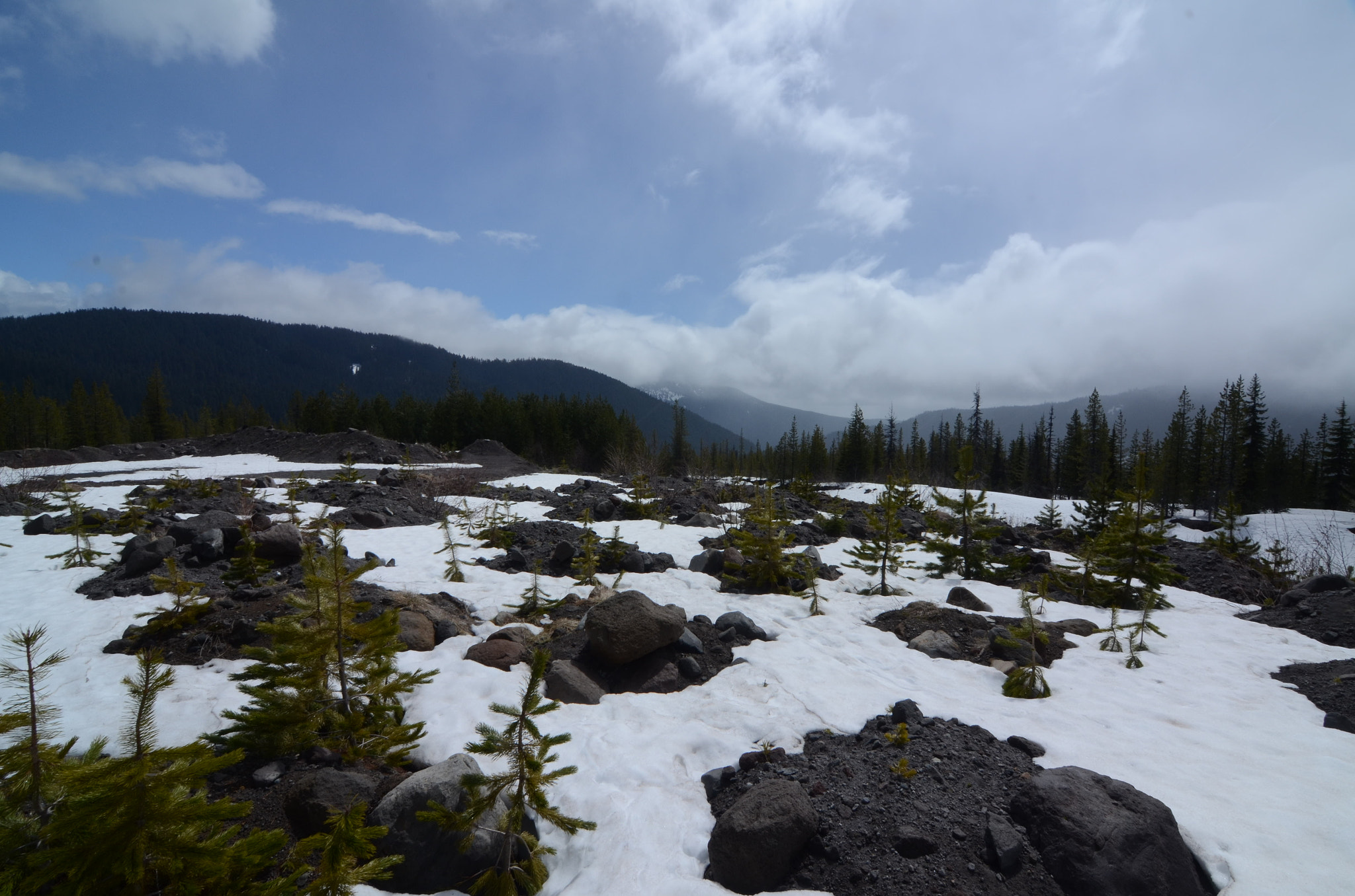 Nikon D7000 sample photo. Snow in may photography