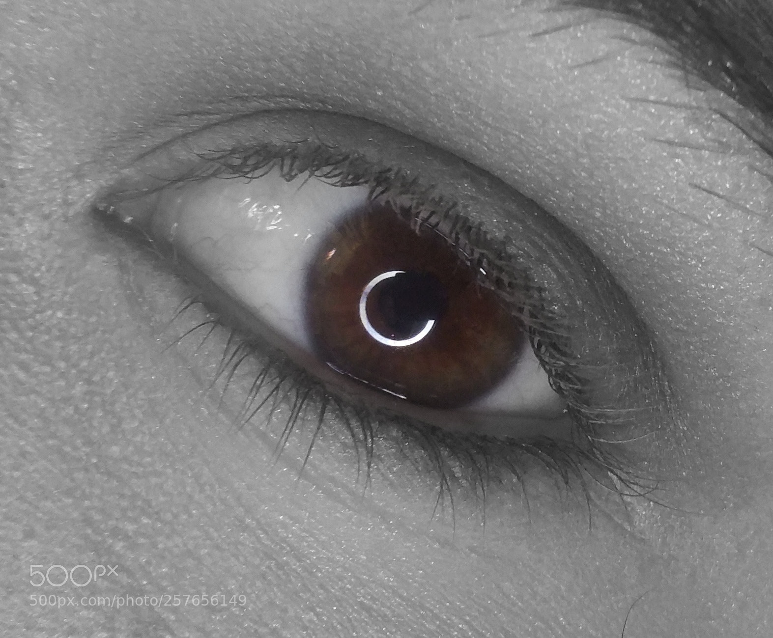 Samsung Galaxy Note4 sample photo. The eyes have it photography