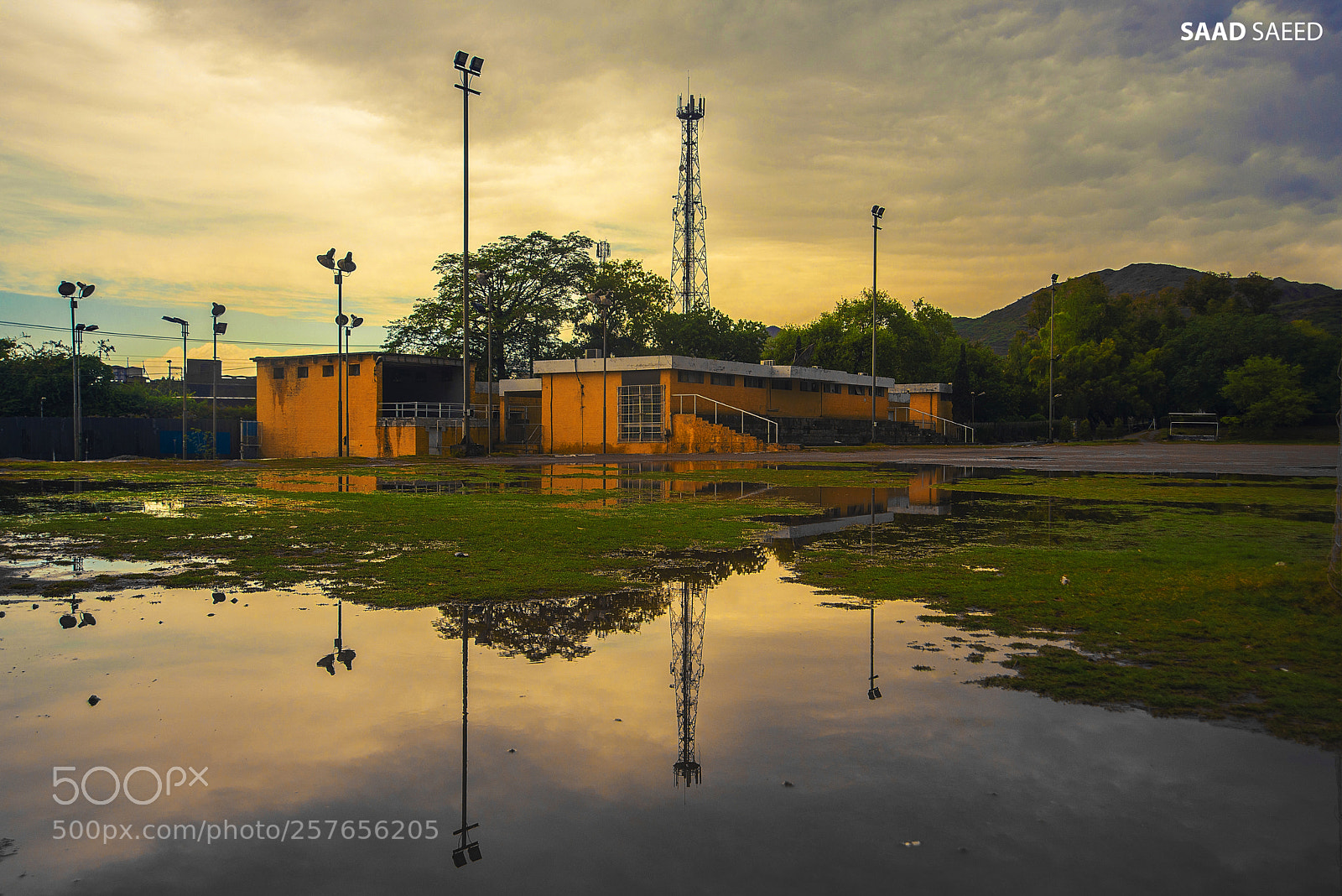 Nikon D750 sample photo. Reflection photography