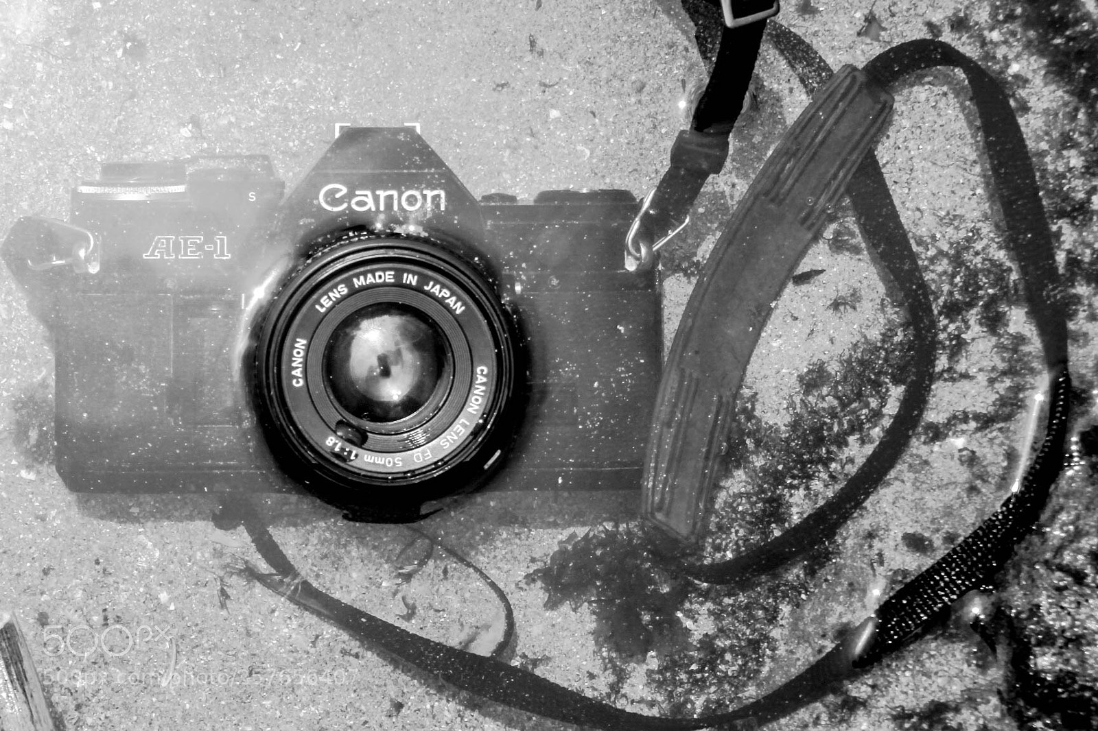 Canon EOS 1100D (EOS Rebel T3 / EOS Kiss X50) sample photo. Canon ae-1 show skills photography