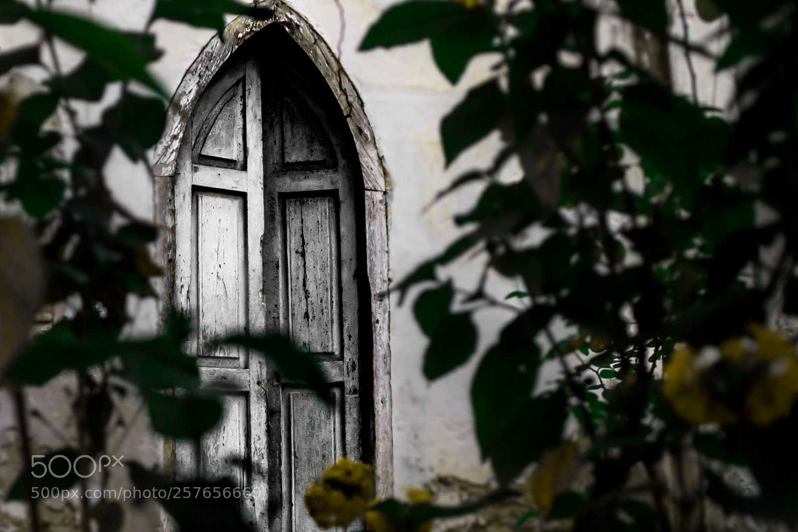 Canon EOS 1100D (EOS Rebel T3 / EOS Kiss X50) sample photo. Old door photography