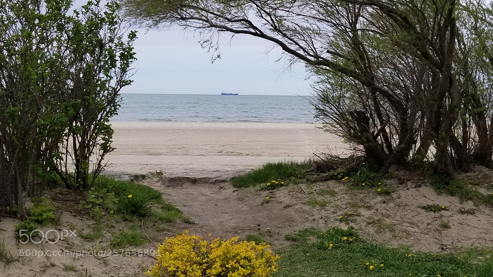 Samsung Galaxy S8+ sample photo. Looking out photography