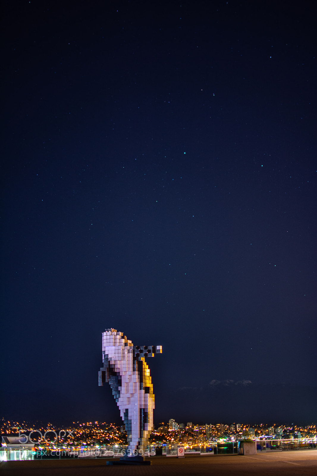 Nikon D7100 sample photo. Digital orca, pixelated killer photography
