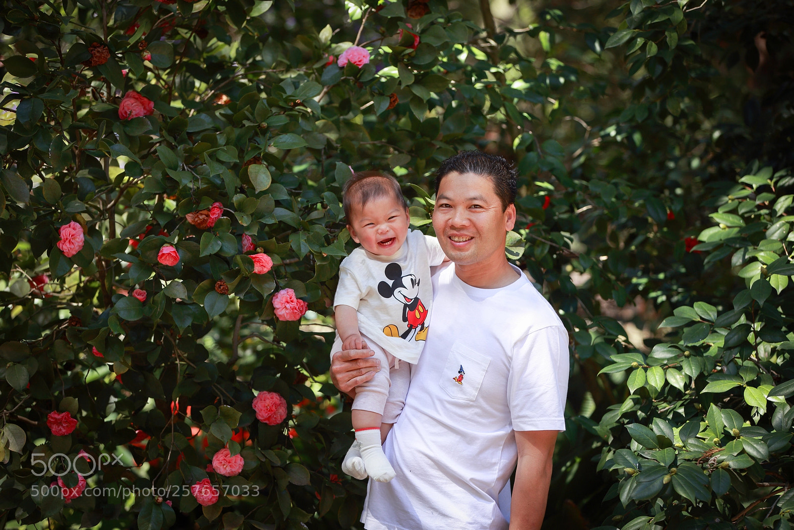 Canon EOS-1D X sample photo. Hq photography