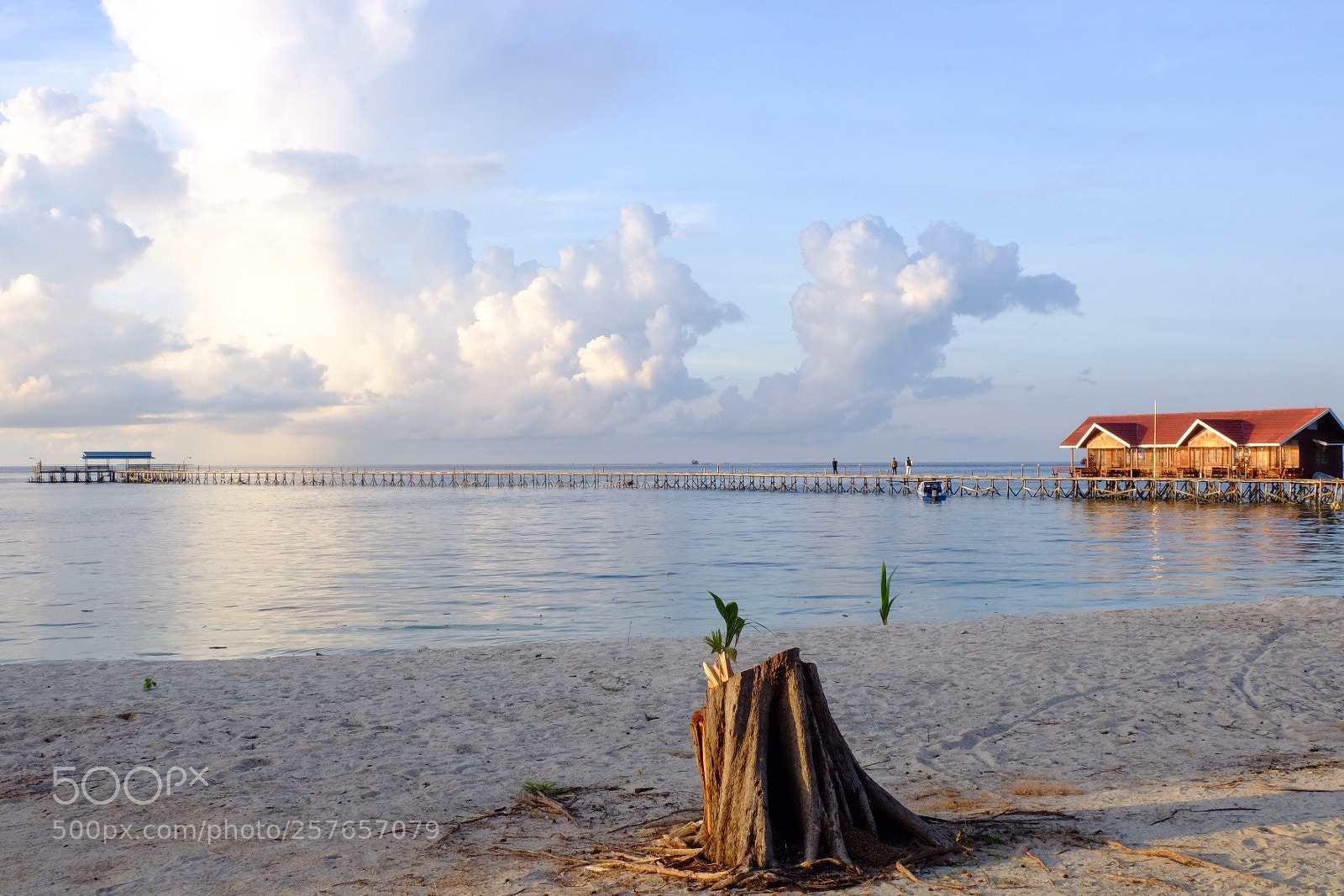 Fujifilm X-T10 sample photo. Derawan island photography