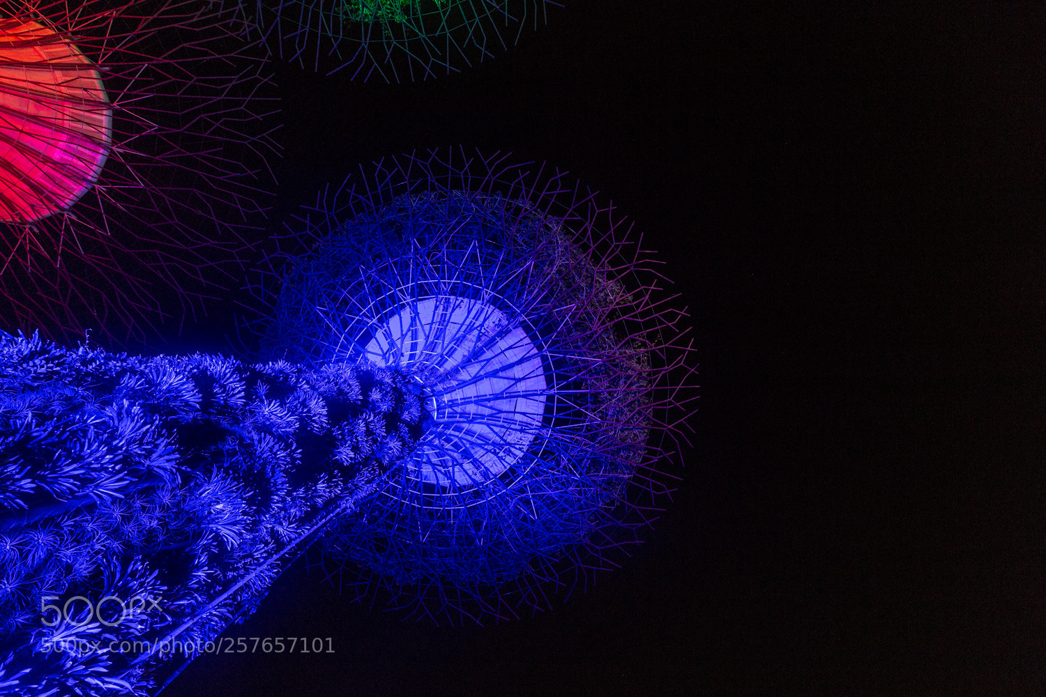 Canon EOS 6D sample photo. Gardens by the bay photography