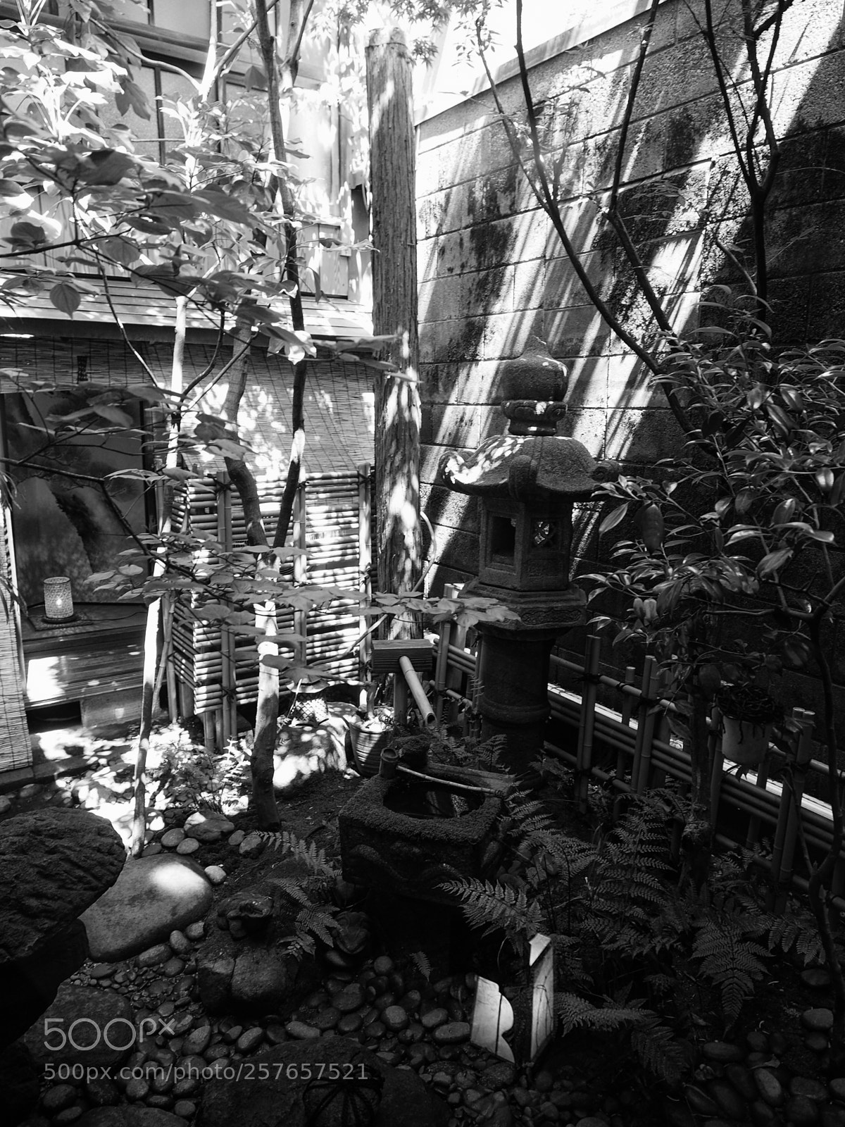 Olympus OM-D E-M5 II sample photo. Ochaya at kanazawa photography