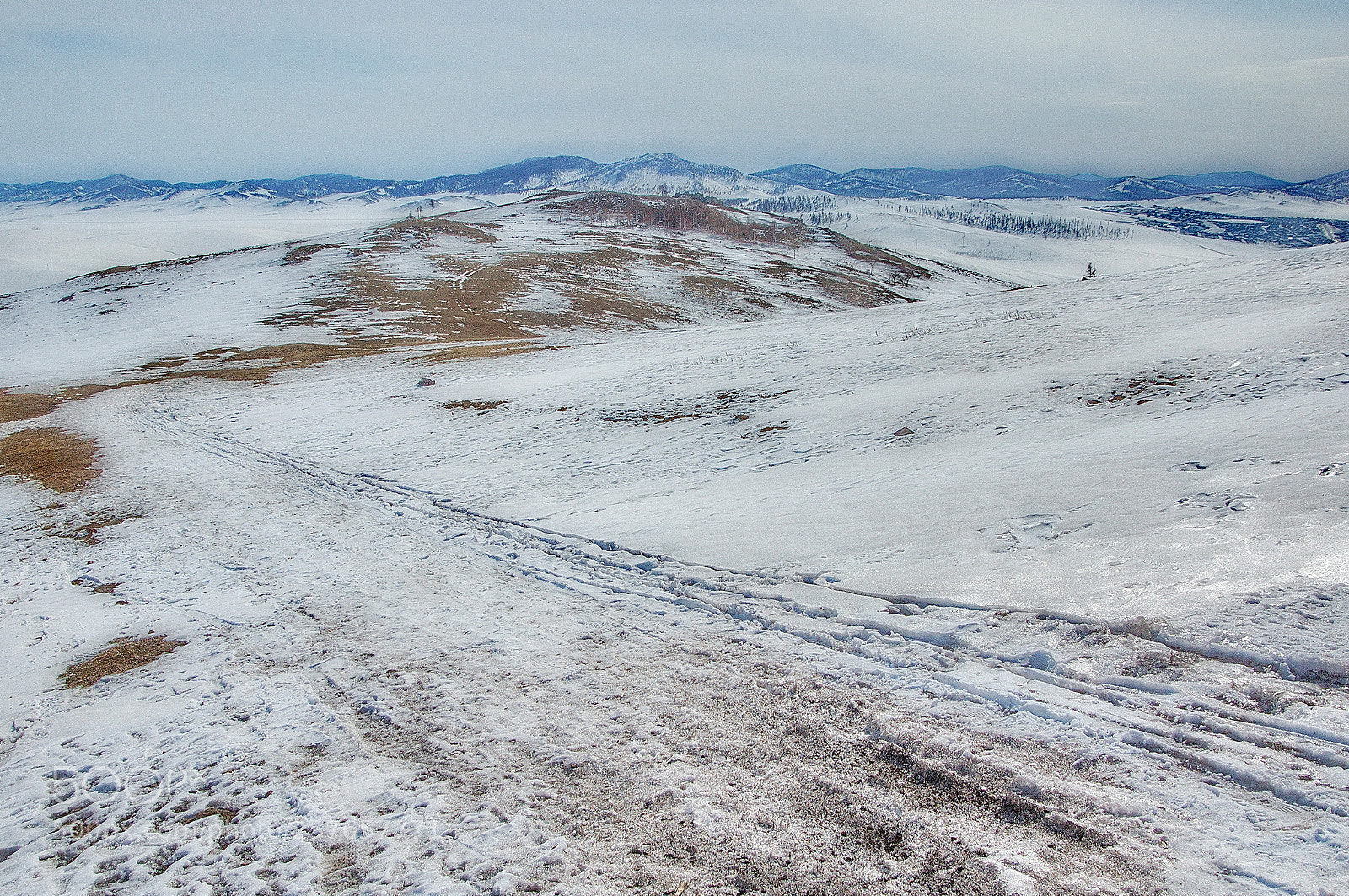 Nikon D40 sample photo. The first thawed patches photography