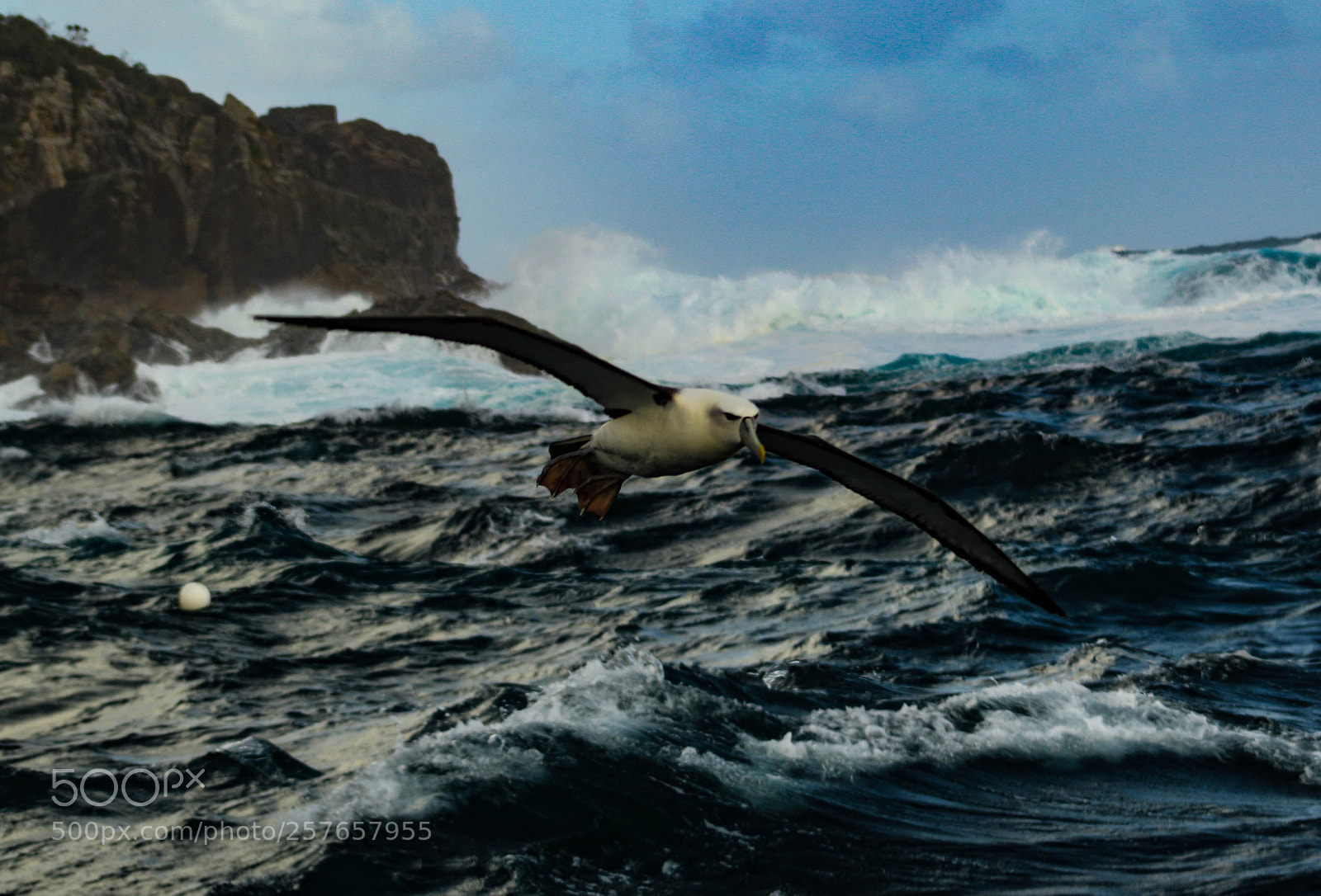 Canon EOS 7D Mark II sample photo. Surf the wave photography
