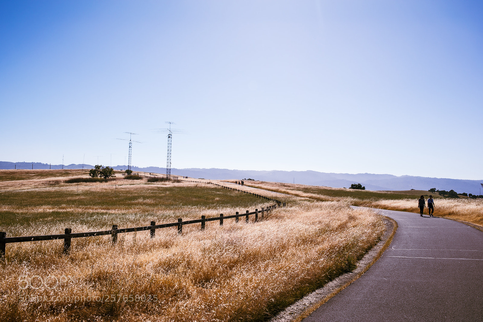 Canon EOS 5D Mark IV sample photo. Walking on the path photography