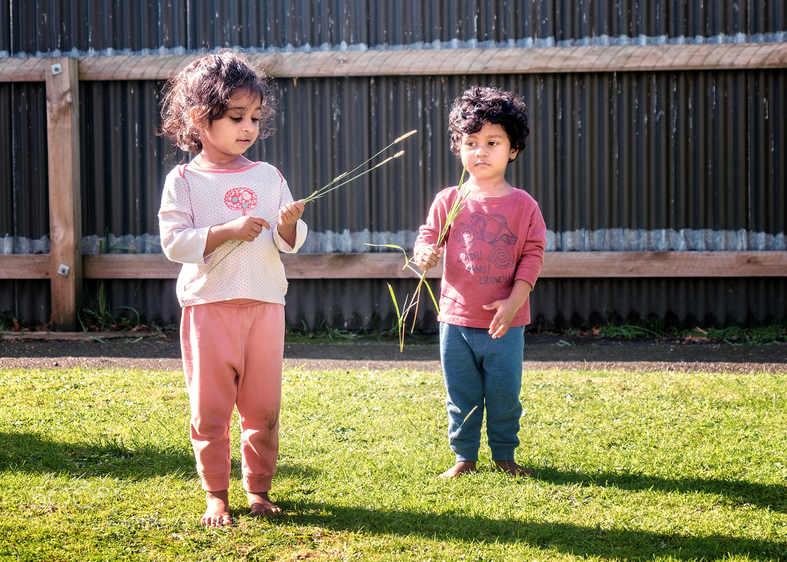 Fujifilm X-T1 sample photo. Edit photography