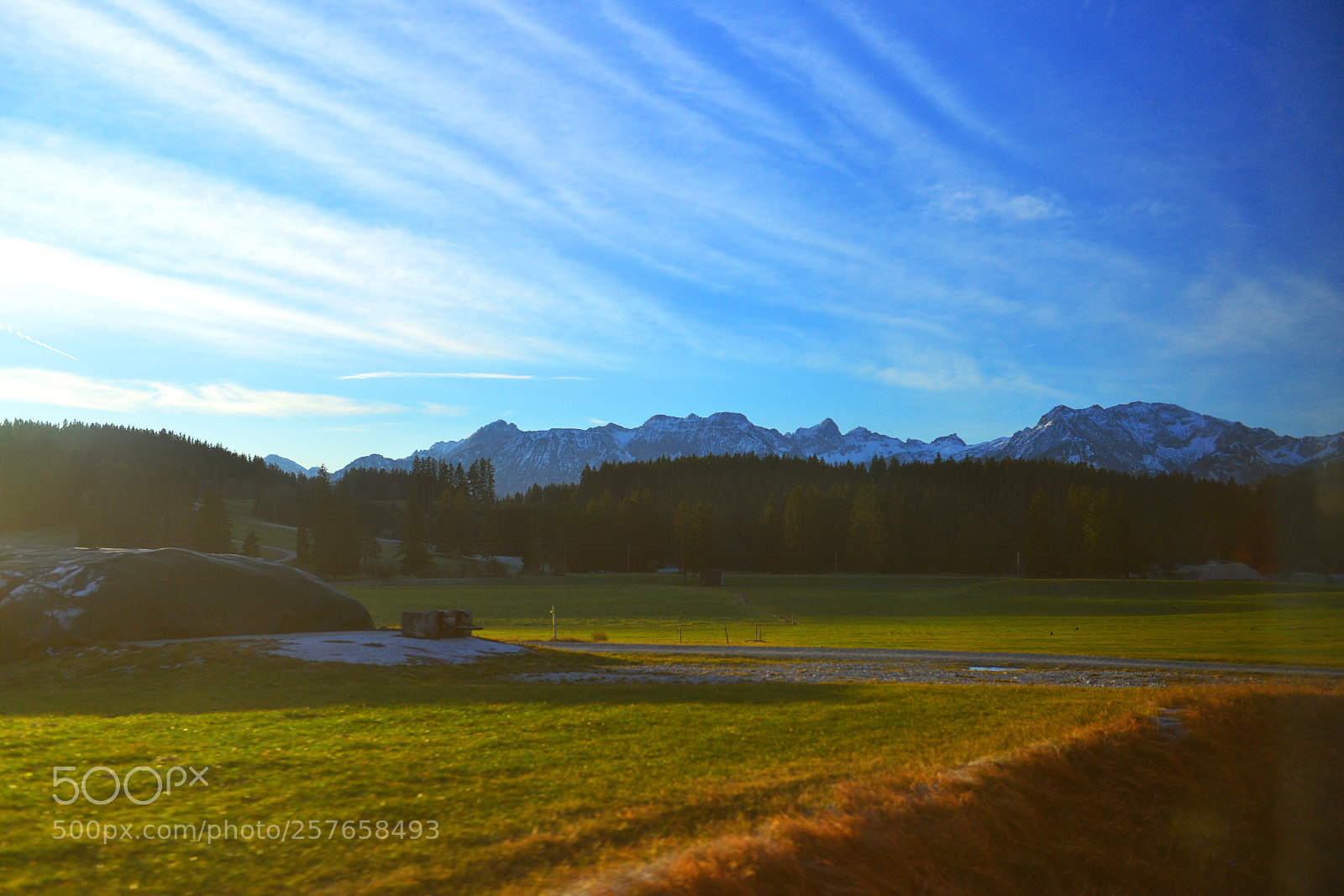 Nikon D800 sample photo. On the way to photography