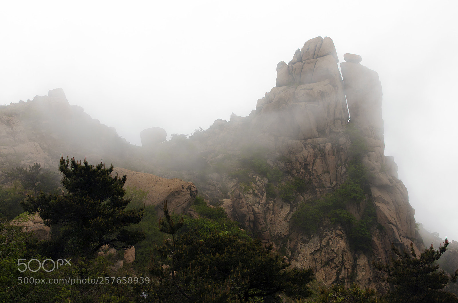 Canon EOS 6D Mark II sample photo. Misty dazhu mountain photography