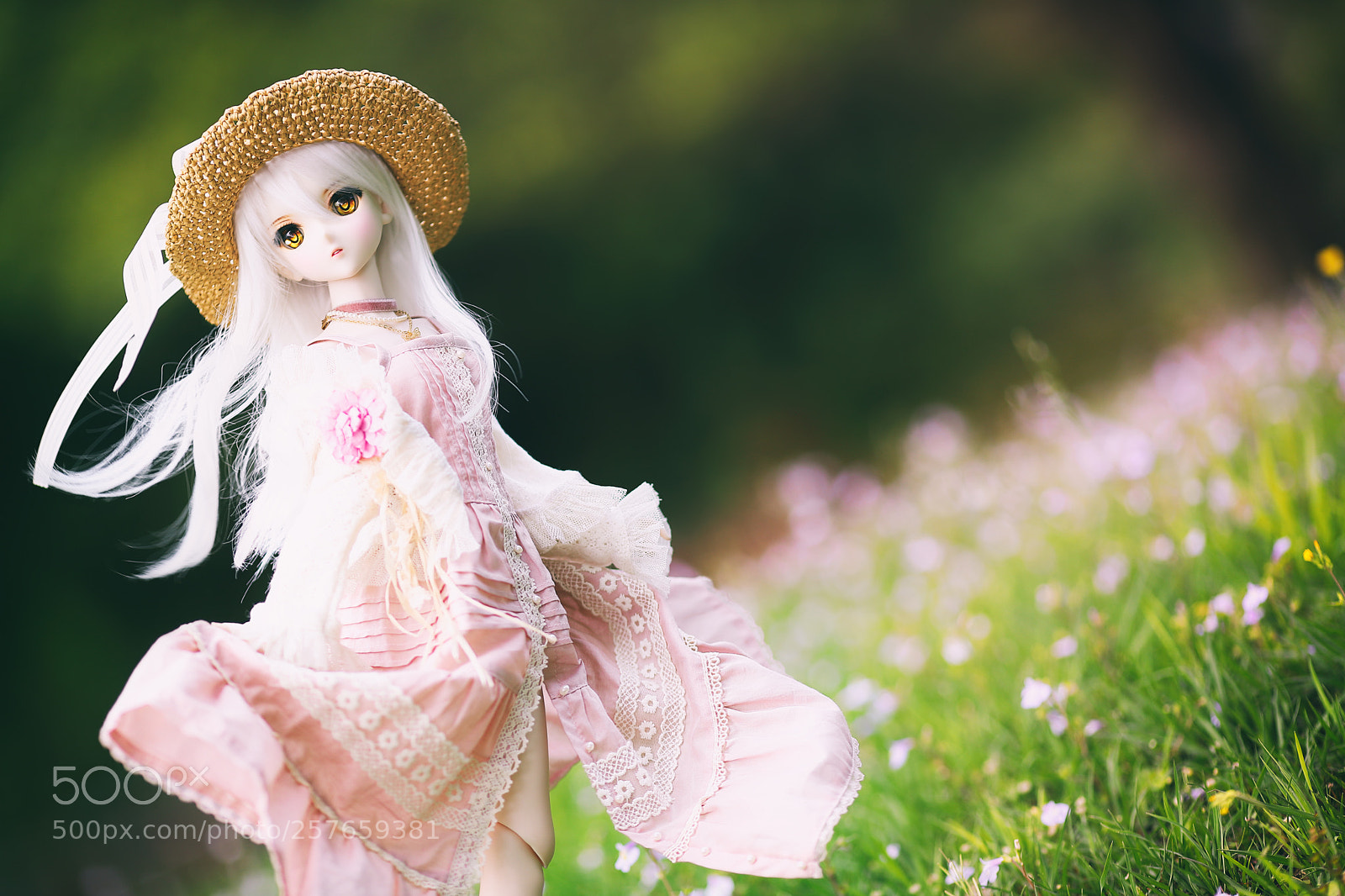 Canon EOS 6D Mark II sample photo. Cacf o photography