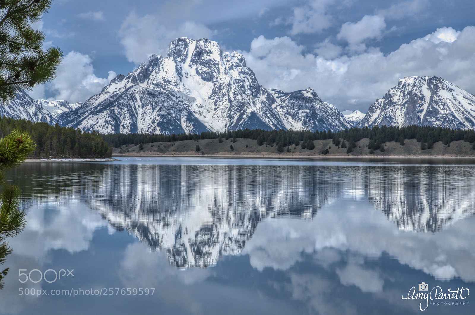Nikon D800 sample photo. Jackson lake reflection photography