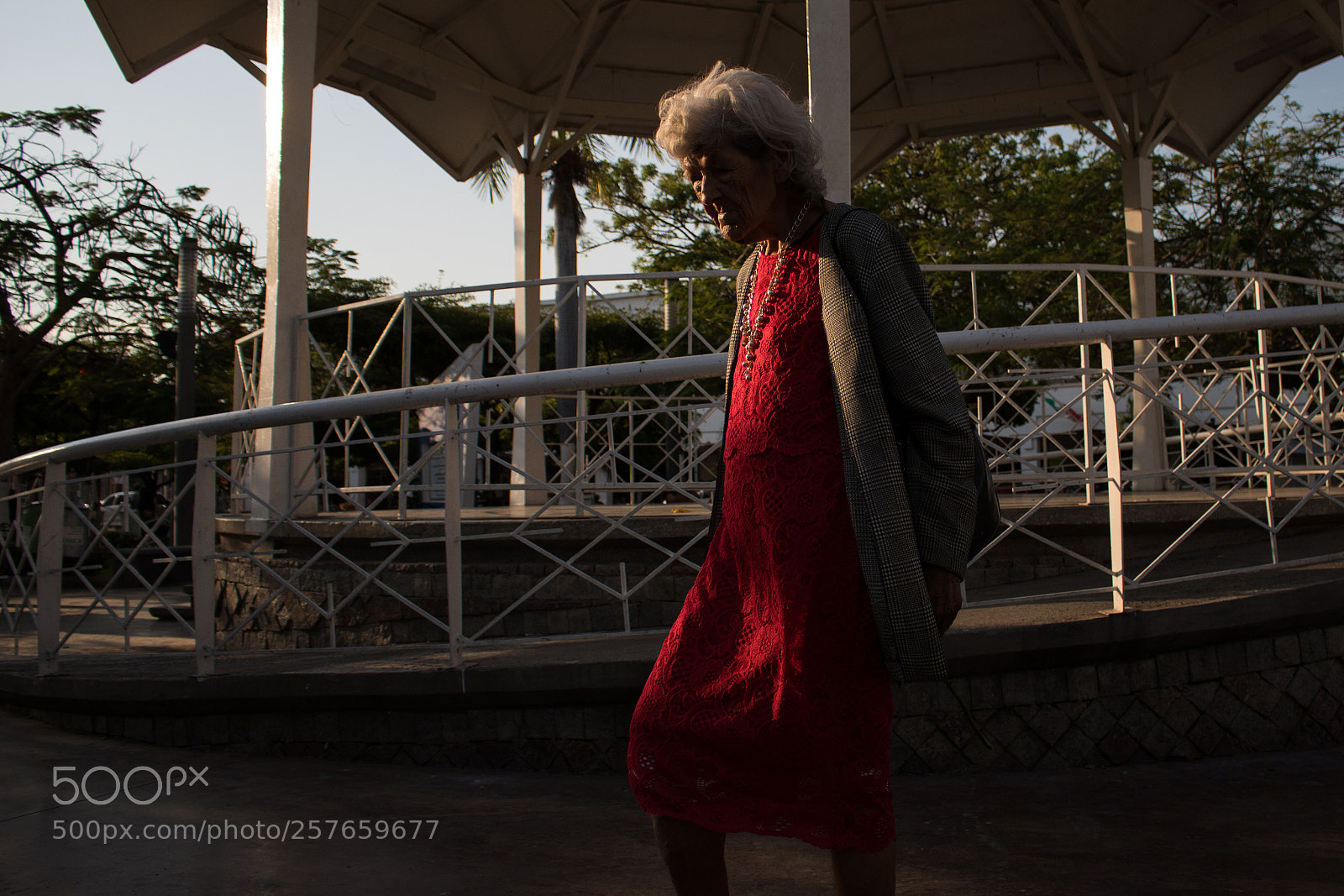 Canon EOS 750D (EOS Rebel T6i / EOS Kiss X8i) sample photo. Old woman and her photography