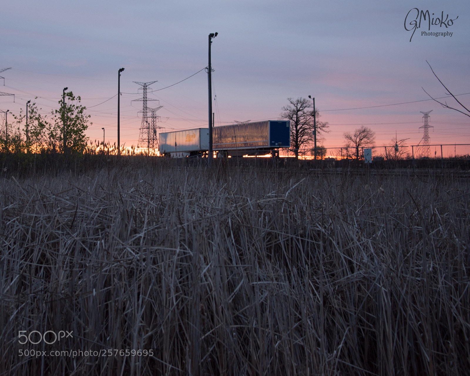 Nikon D750 sample photo. Sunrise at the rail photography