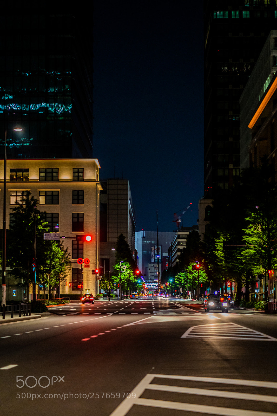 Sony a7 III sample photo. Tokyo station photography