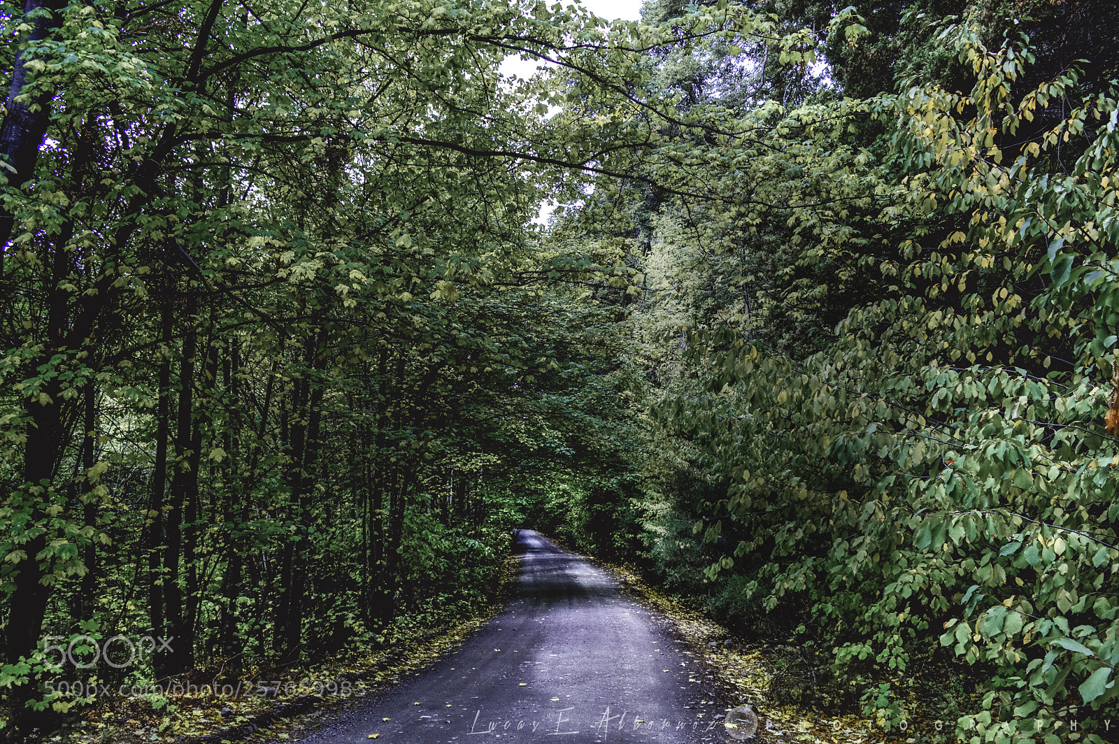 Nikon D3200 sample photo. Caminos del sur photography