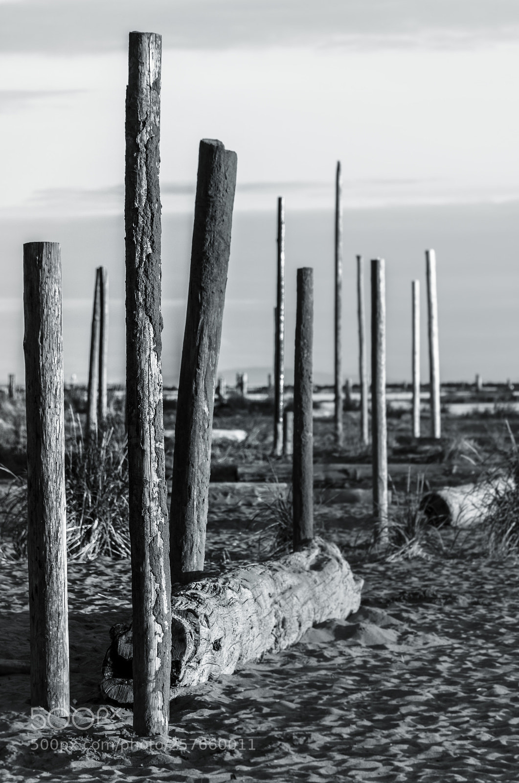 Nikon D7200 sample photo. Poles photography