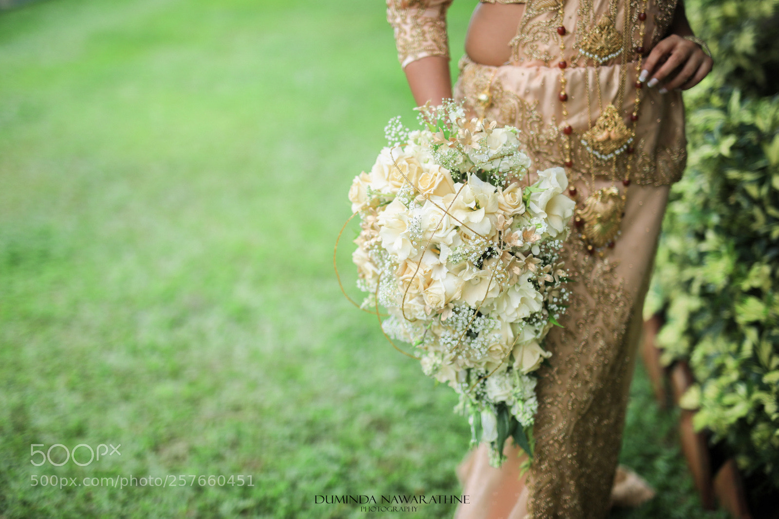Canon EOS 5D Mark IV sample photo. Ja photography