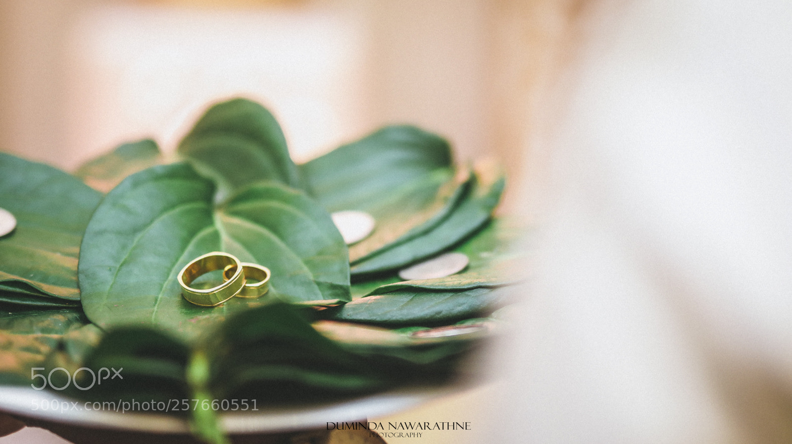 Canon EOS 5D Mark IV sample photo. Ja photography