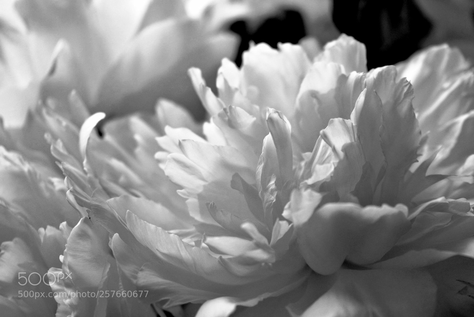 Fujifilm X-T2 sample photo. Untitled photography