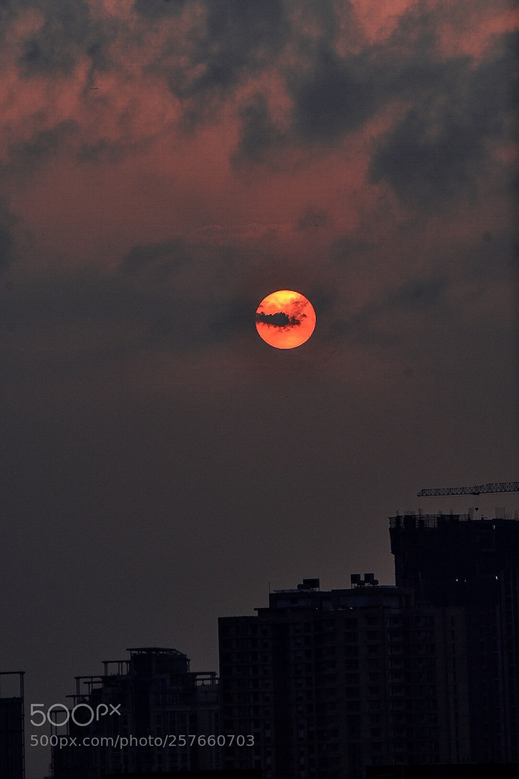 Nikon D5500 sample photo. Just in photography