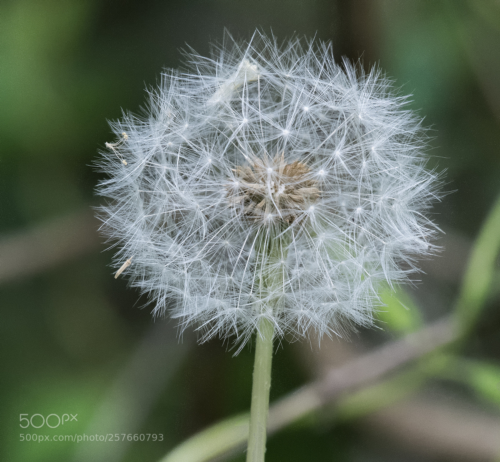 Nikon D850 sample photo. Edr photography