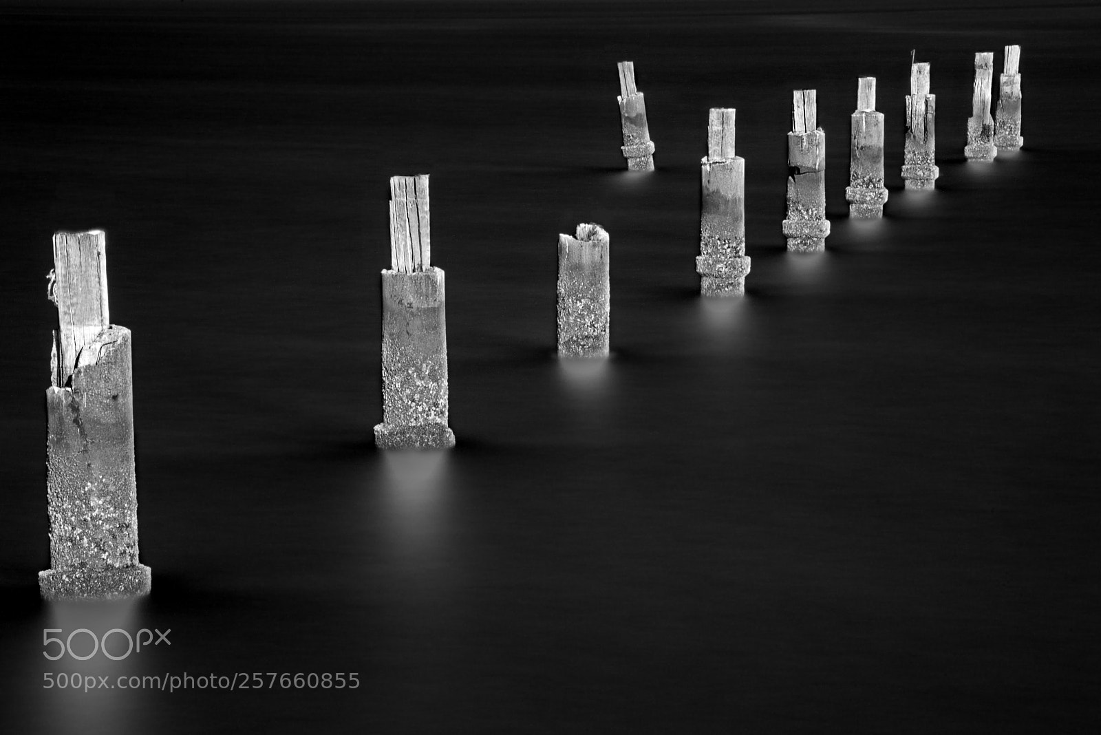 Nikon D800E sample photo. Old jetty photography