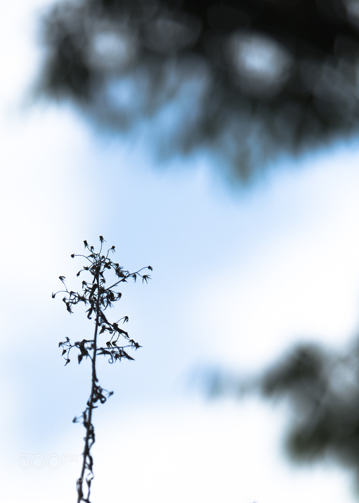 Nikon D810 sample photo. Empty _ fullness photography