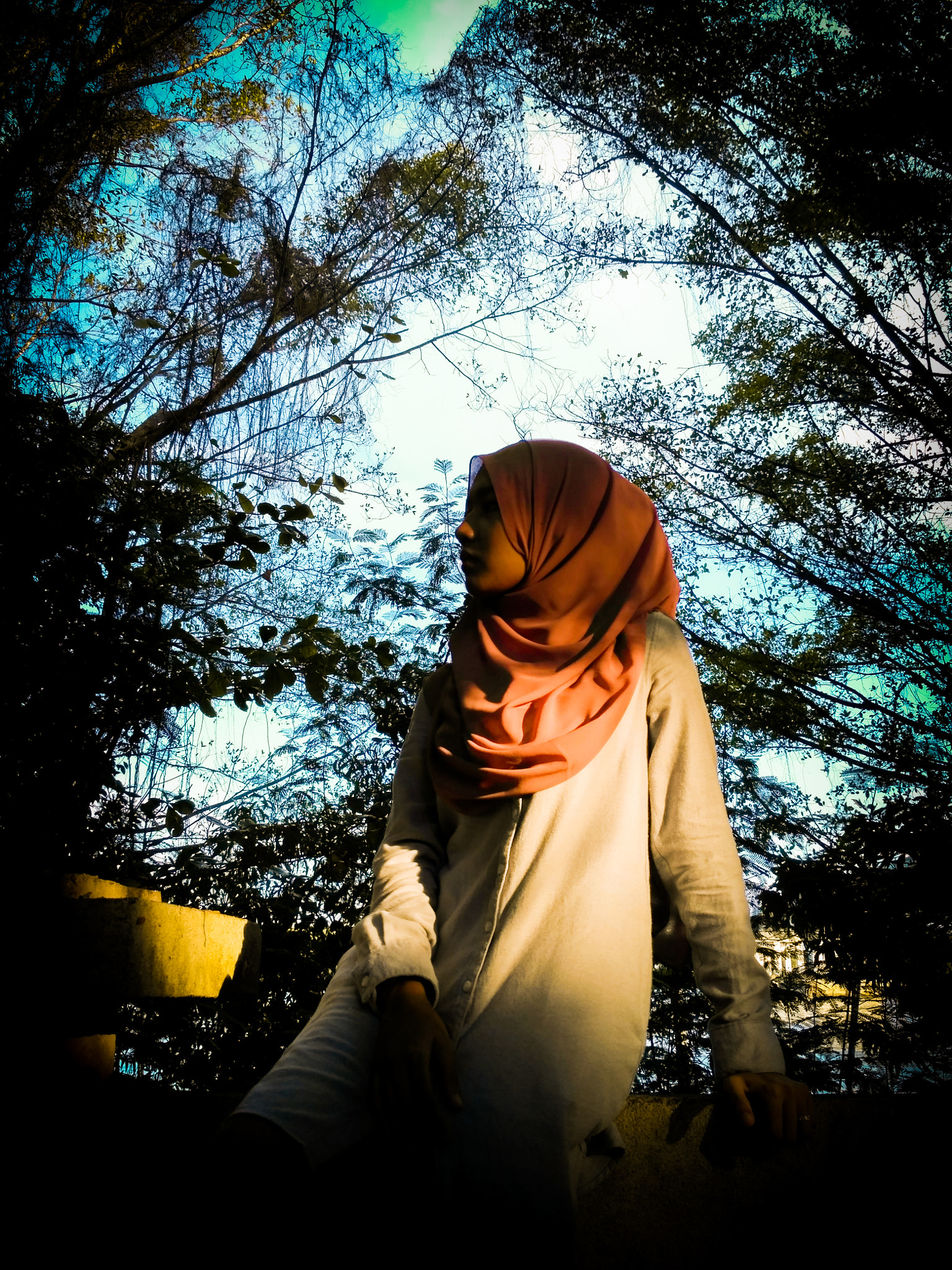 Xiaomi Redmi 3X sample photo. Lrm exp photography