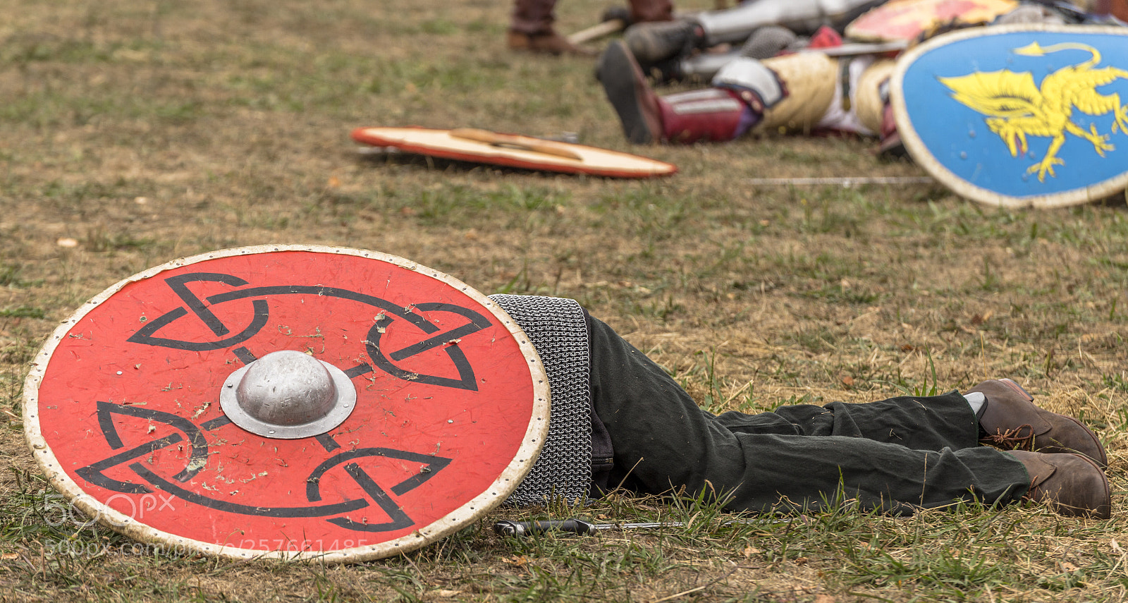 Canon EOS 6D sample photo. Knight defeated on the photography